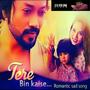 TERE BIN KAISE (feat. Neel Kalyankar, Bharati Patil & Rajkumar nimbokar)