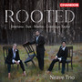 Suk: Petit Trio, Op. 2: I. Allegro