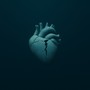 Love & Pain Chronicles
