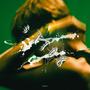 stick (Explicit)