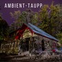 Ambient Taupp