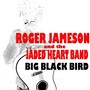 Big Black Bird