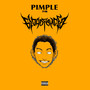 Pimple (Bloadfailed Remix)