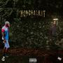 Nonchalant Volume 1 (Explicit)