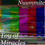 Toy of Miracles