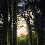 Iluminar-te
