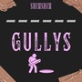 Gullys