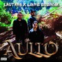 Aullo (feat. Libre Esencia, Hoderc_btmaker & Frankillah) [Explicit]
