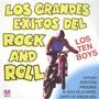 Los Grandes Éxitos Del Rock And Roll