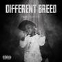 Different Breed (Explicit)