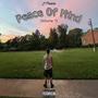 Peace Of Mind, Vol. 1 (Explicit)