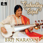 Enchanting Sarod