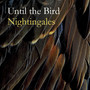 Nightingales