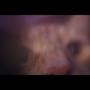 Two Rooms (Explicit)