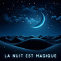 La nuit est magique (Dormir sous un ciel étoilé, musique de rêve de harpes, flûtes et hangdrums)