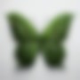 Grass (Explicit)