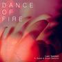 Dance of Fire (feat. Sakhnini Brothers)