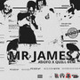 Mr. James (Explicit)