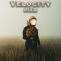 Velocity