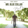 Mr. Blue Collar