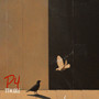 P4 (Explicit)