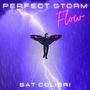 Perfect Flow (Perfect Storm)