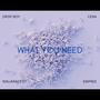 What You Need (feat. Cera, NinjaRacy E.T. & Empree nlm)