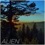 Alien (feat. Veela)