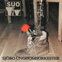 Sjöbo Ungdomsorkester 1996