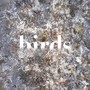Birds (feat. Henk Koorn)