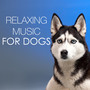 Relaxing Music for Dogs - Calming New Age Sounds of Nature for Animals and Pets