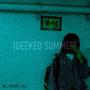 Geeked Summer (Explicit)