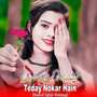 Teday Nokar Hain