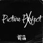 Picture Perfect (Explicit)