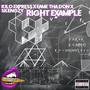 Right Example (feat. Fame Tha Don & Skengzy) [Explicit]