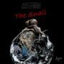 The Snail