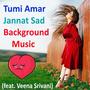 Tumi Amar Jannat Sad Background Music (feat. Veena Srivani)