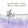 Destination Crazy (White Sand Remix) [feat. April Cummings]