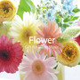 Flower ~ Gift for Piano Music