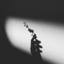 Suicide Note (Explicit)