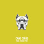 Cane Corso (Explicit)