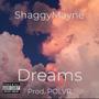 Dreams (Explicit)