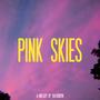 Pink Skies (Explicit)