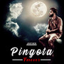 Pingota Forever