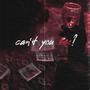 can't you see? (feat. danish roomi & SAZGIR)