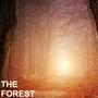 The Forest