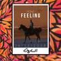 Feeling (Explicit)