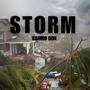 Storm (feat. LeleMusic) [Radio Edit]