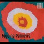 Fogo na Palmeira