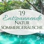 19 Entspannende Natursommergeräusche - Hintergrundmusik mit Naturgeräusche um Wellness und Gesundheit zu Erreichen